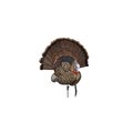 Avian-X Trophy Tom Decoy AVX-AVX8021